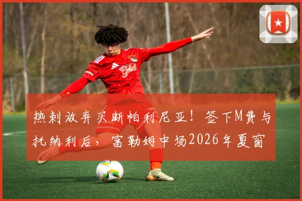 热刺放弃买断帕利尼亚!签下M费与托纳利后,富勒姆中场2026年夏窗将何去何从?