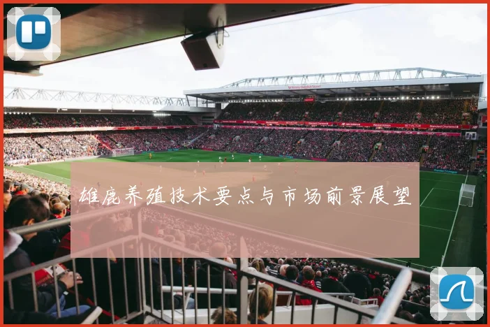雄鹿养殖技术要点与市场前景展望