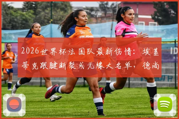 2026世界杯法国队最新伤情：埃基蒂克跟腱断裂或无缘大名单，德尚如何调整锋线人选？穆阿尼机会来了
